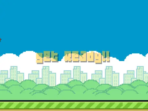 clumsy bird